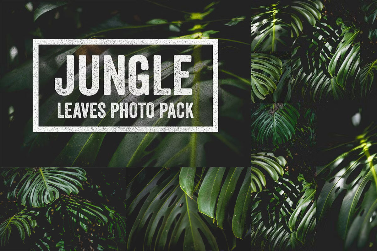 Complete Design Asset Pack Full Shop, a Texture Graphic by Fox & Bear (Photo 13 of 14)