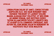 PEPPERMINT PORCH | FESTIVE FONT, a Font by Maria Feliz Fonts (Thumbnail 7 of 9)