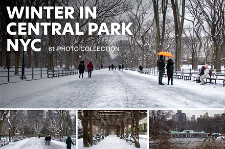 Winter In Central Park NYC Photos