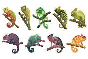 Chameleon lizards. Reptiles, an Animal Illustration by Things for designers