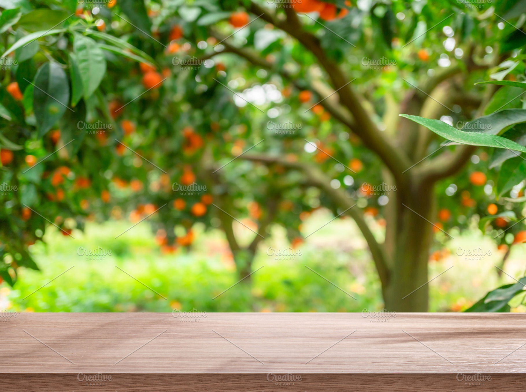Wooden table top and blurred orange trees covered with orange fr, a Food & Drink Photo by Volff