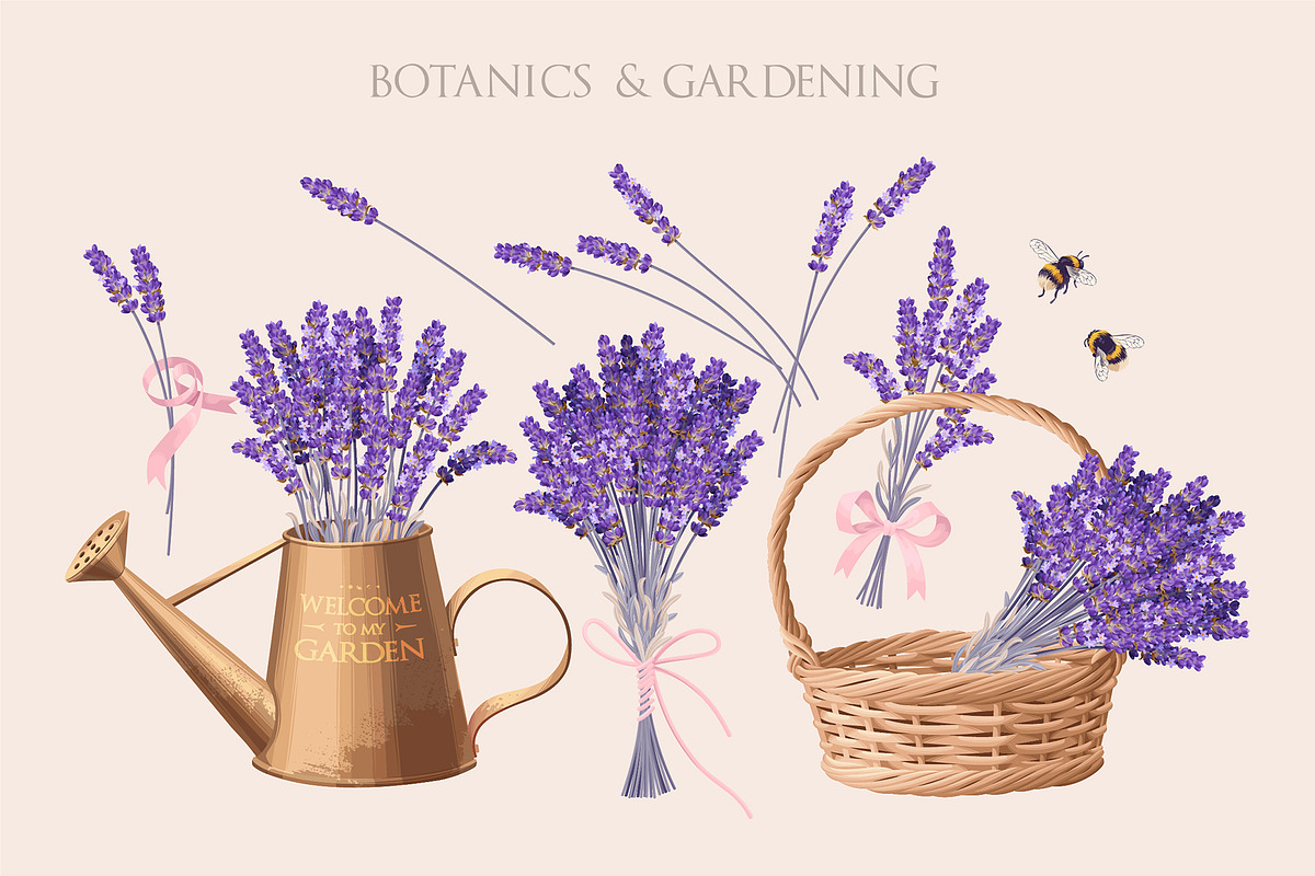 Ultimate Lavandula Bundle, an Object Graphic by GreyLilac (Photo 2 of 11)