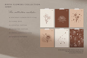 Hand drawn Birth Month Flowers, an Illustration by KirillsWorkshop (Thumbnail 2 of 12)