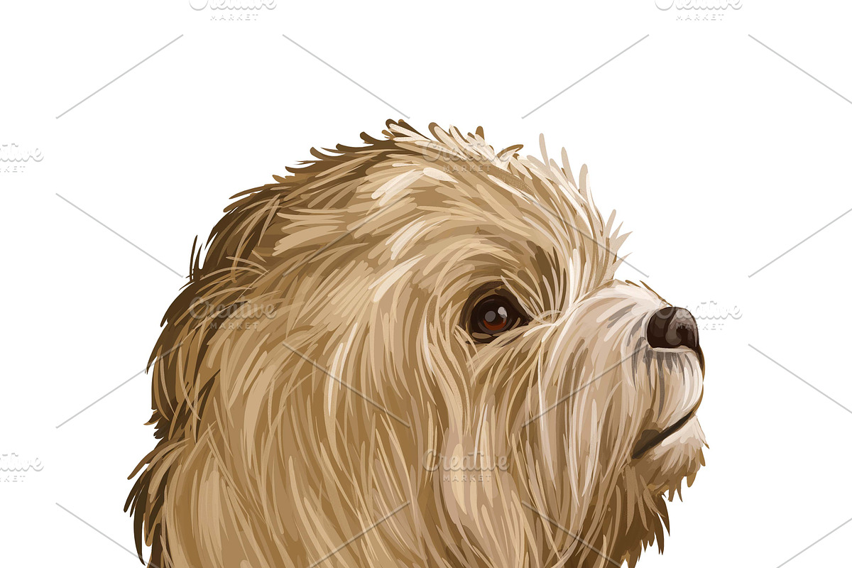 Dogs Cross Breeds 56 Animals Bundle, an Animal Illustration by Dneprstock (Photo 4 of 55)