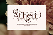 Stimer Dream Elegant Serif Font, a Serif Font by Elegant Font (Thumbnail 6 of 8)