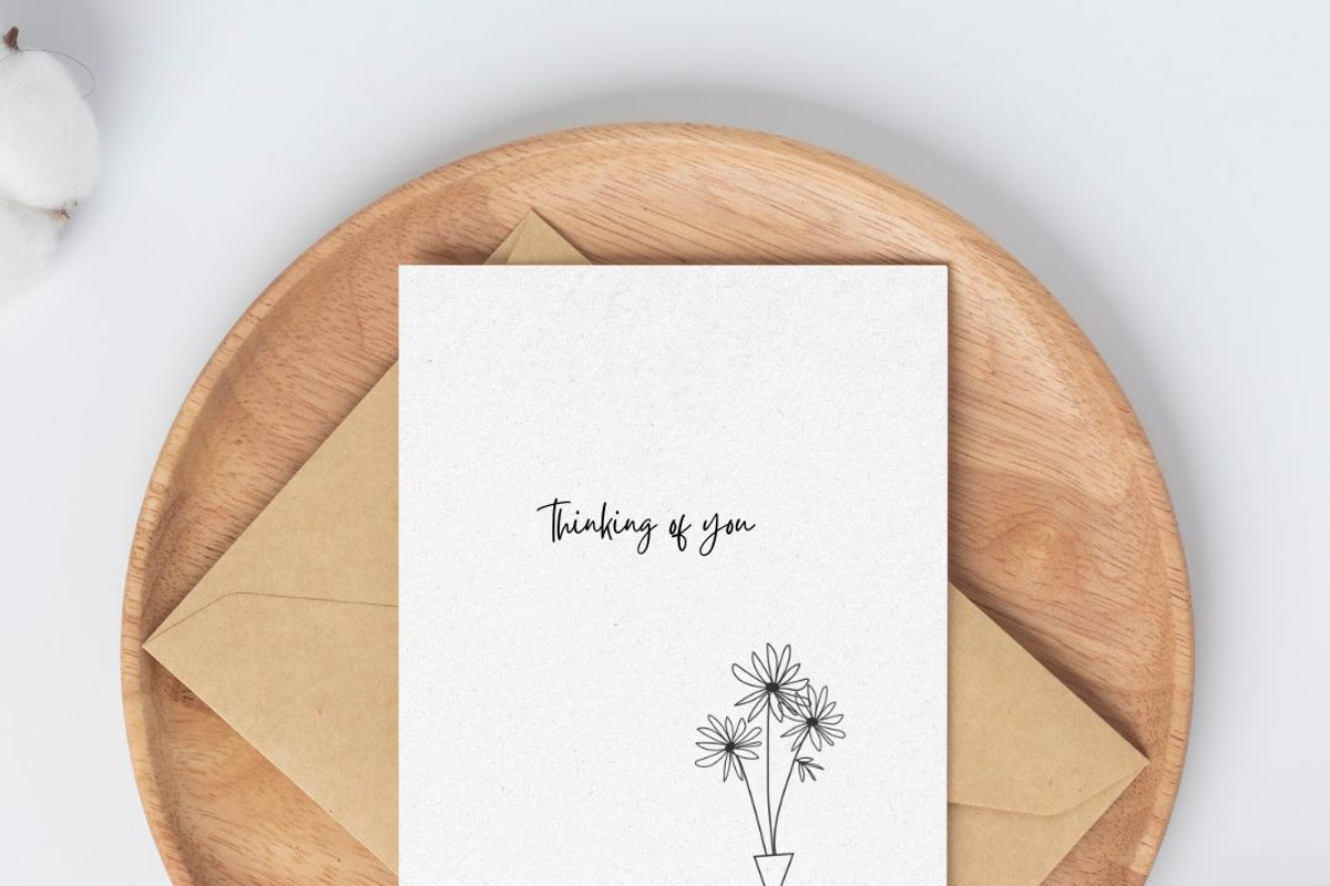 Plants: minimal house plants, a Decorative Illustration by Stacey Shaller (Photo 4 of 7)