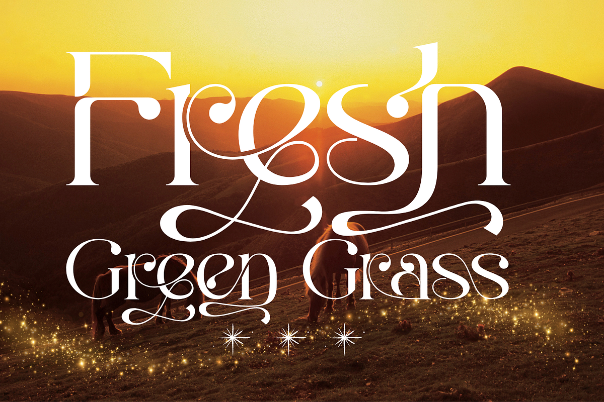 Brilliant Heavens Font, a Serif Font by 177Studio (Photo 6 of 9)