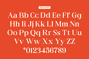 Gts Calira - Romantic Serif Font, a Serif Font by Graptail (Thumbnail 5 of 20)