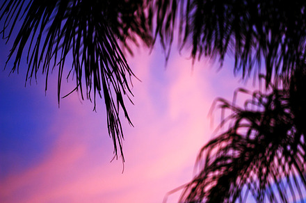 Cotton Candy Skies