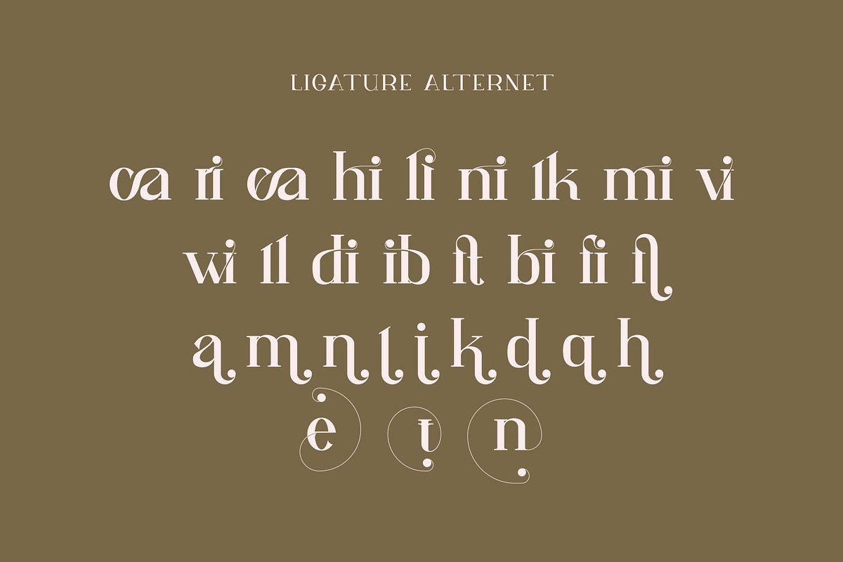 wifian Ligature Serif Typeface, a Serif Font by Humaira_std (Photo 9 of 11)