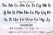 Beauty Drawing, a Handwritten Font by FreshTypeINK (Thumbnail 3 of 6)