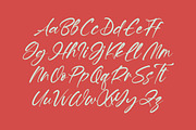 Hevling Justien Bold Brush Font, a Script Font by Letterena Studios Script (Thumbnail 11 of 15)