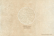 Summer Afternoon Textures Pack, a Texture Graphic by Travel Illustration Shop (Thumbnail 17 of 17)