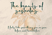 Seattles - Handwritten Script Font, a Handwritten Font by Vampstudio (Thumbnail 5 of 11)