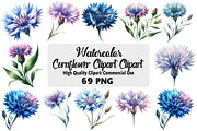 Blue Watercolor Cornflower Clipart, an Illustration by Daily.Designs (Thumbnail 1 of 5)