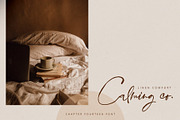 Chapter Fourteen Script Font, a Script Font by Creativeqube Design (Thumbnail 9 of 11)