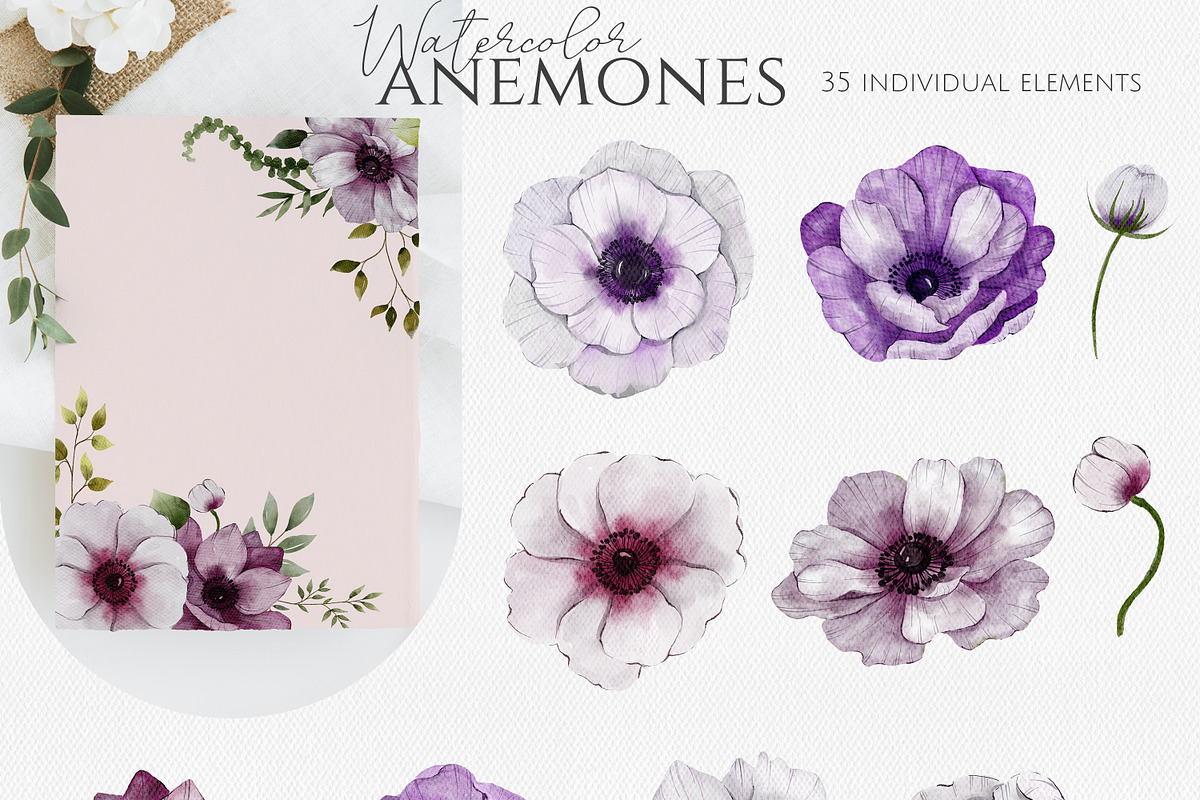 Anemones Watercolor Collection, an Illustration by Dervik Art Store (Photo 3 of 9)