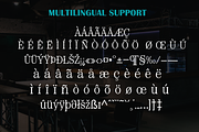 Gorogoro-Serif font, a Serif Font by portype (Thumbnail 3 of 5)