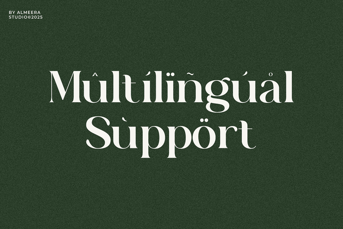 Auralux - Modern Serif Font, a Serif Font by Almeera Std (Photo 3 of 5)