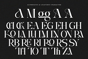 Arachem California | 27 Font Style, a Serif Font by IM Studio (Thumbnail 10 of 13)