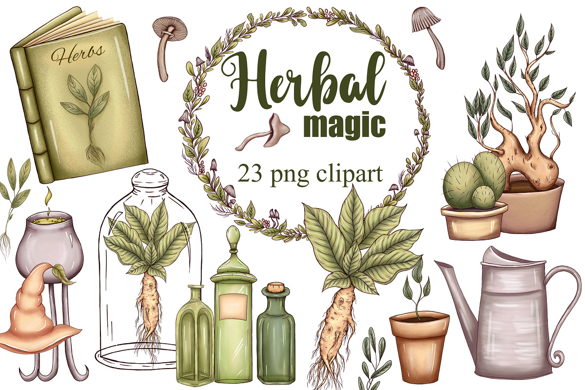 Herbal Magic clipart set, an Illustration by Mrs.Swan_Design (Photo 1 of 7)