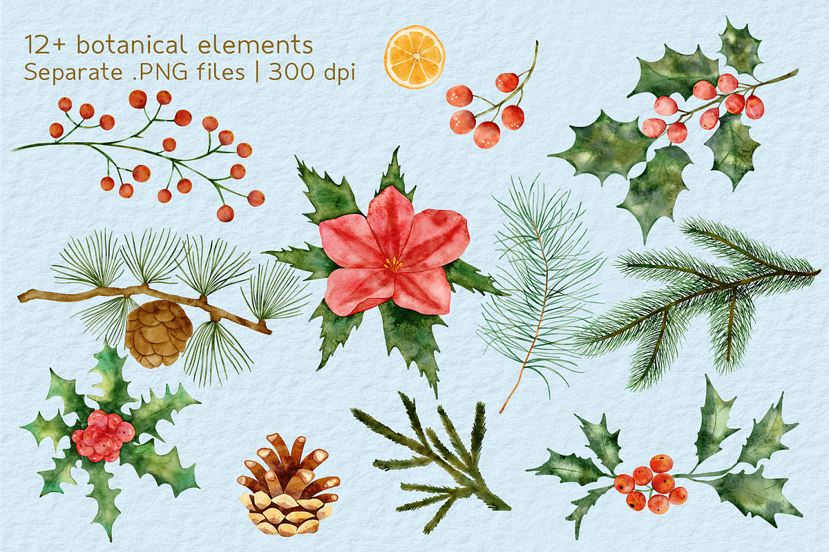 Winter Spirit Watercolor Set, a Seasonal Illustration by Aurella Art (Photo 3 of 14)