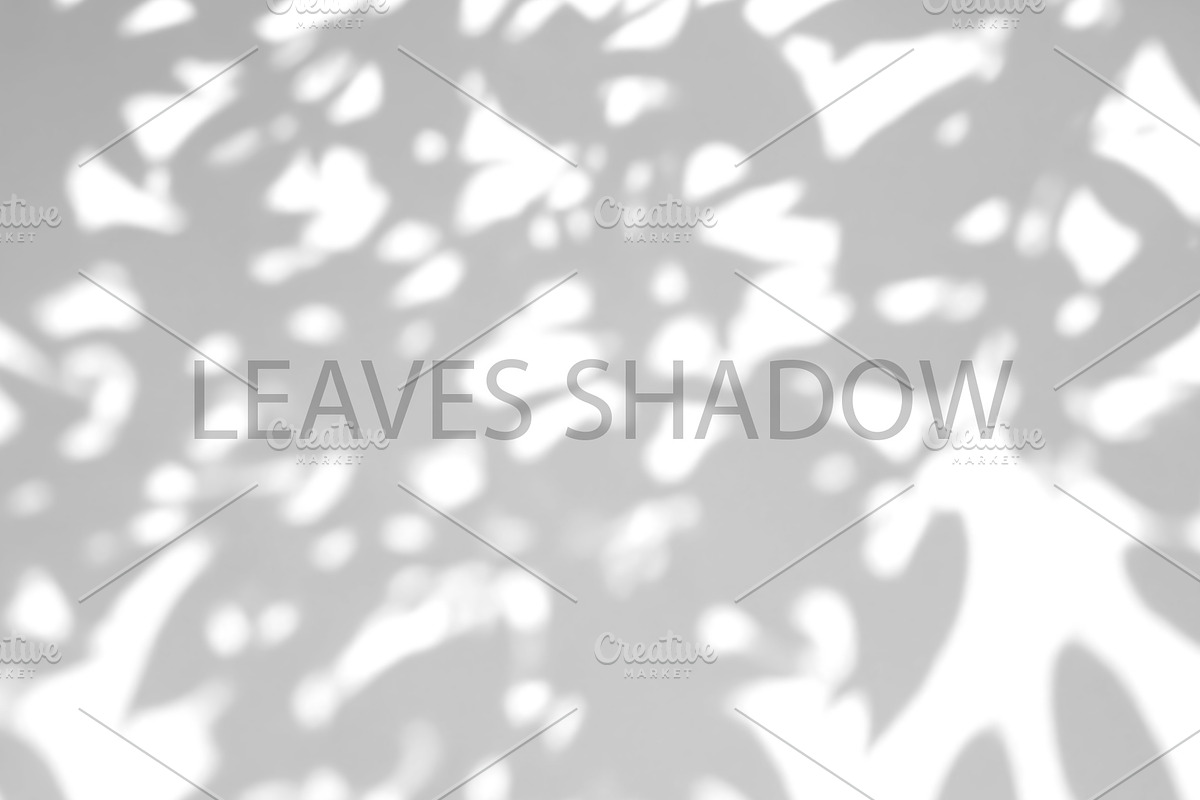 Leaves Shadow on Wall Background., a Background Graphic by kaisorn (Photo 5 of 8)