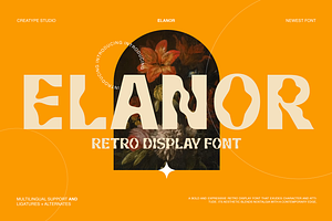 Elanor Retro Display