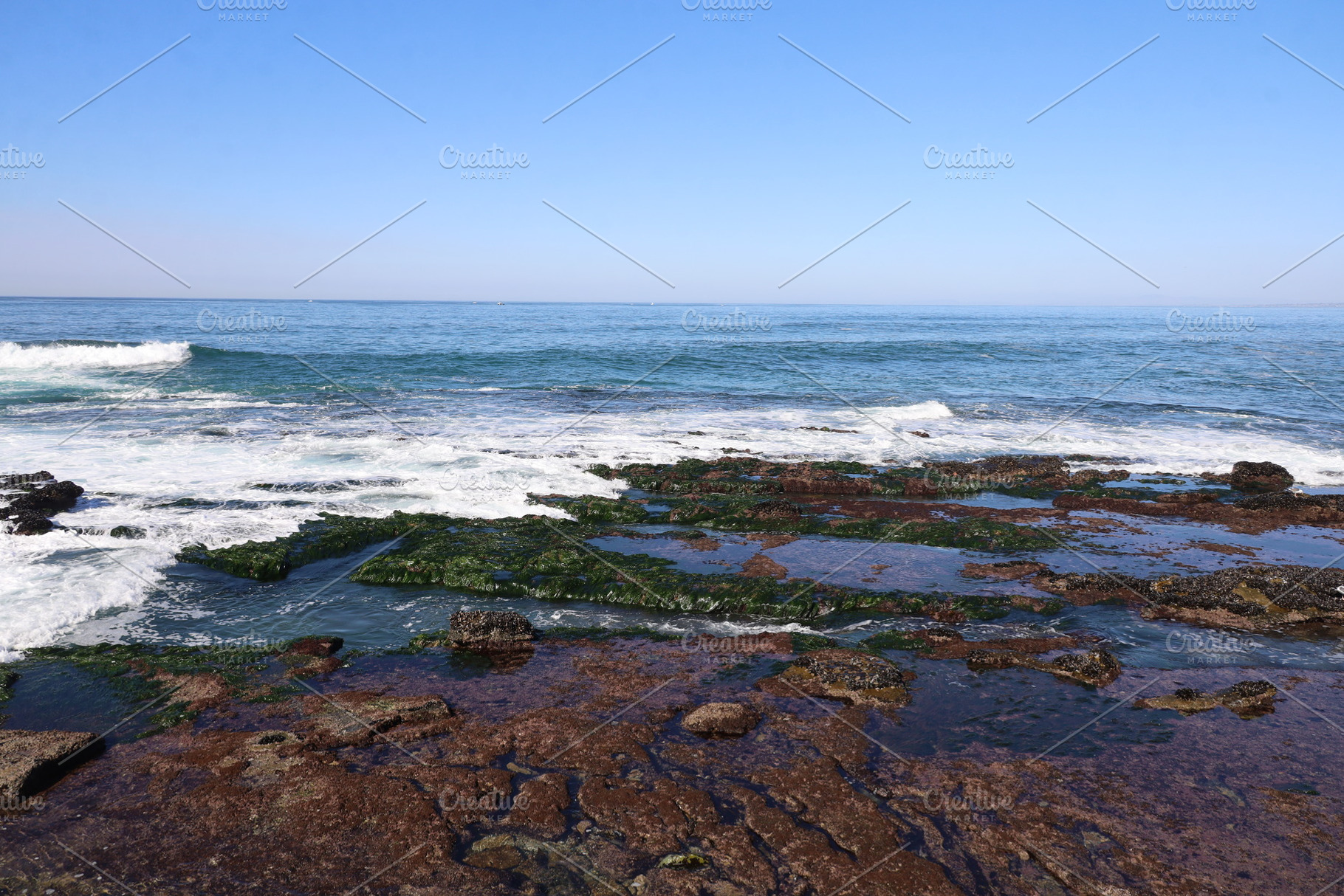 La Jolla, California, USA, a Nature Photo by uncreative