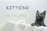 Casual Handkitten Font Family, a Script Font by LuisFaus (Thumbnail 1 of 3)