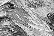 Oil Painting Textures, a Texture Graphic by UnicDesign (Thumbnail 9 of 15)