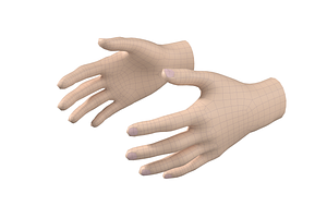 Female Hand Base Mesh 03