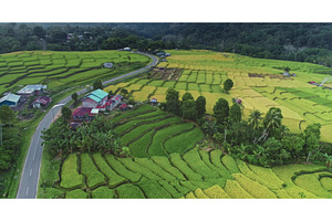 Expansive aerial view of terraced, a Nature Photo by Goinyk