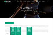 Sport Team & Athlete WordPress Theme, a WordPress Template by Visualmodo (Thumbnail 17 of 21)