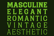 Sichra Typeface - Relaxed Slab Serif, a Slab Serif Font by Khoir (Thumbnail 13 of 13)
