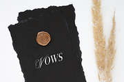 Monique Display Duo Font | Logo Font, a Serif Font by Calamar Studio (Thumbnail 4 of 18)