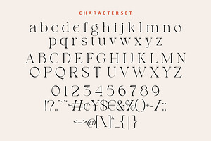 Notica Serif Font Elegant Font