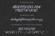 Washington ~ Rough Script, a Script Font by Youthlabs Studio (Thumbnail 10 of 13)