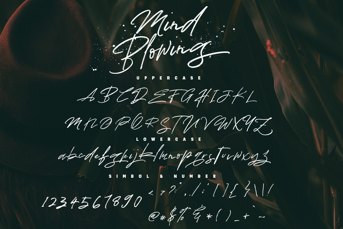 Mind Blowing 3 Brush Font Set 40%OFF, a Script Font by Dirtyline Studio (Photo 16 of 18)