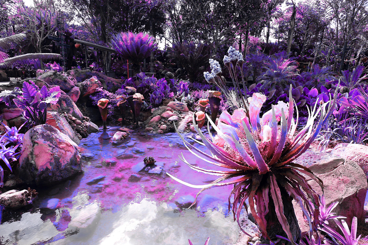454 Infrared Fantasy Pro LUTs, a Preset Add-On by ShutterPro (Photo 10 of 48)