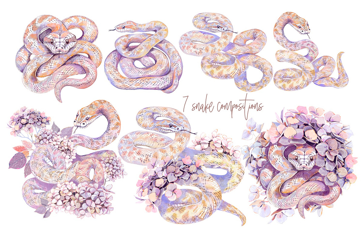 Snake Hydrangeas Garden Clipart, a Decorative Illustration by Shabbypie (Photo 16 of 20)