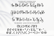 Bounce Back, a Handwritten Font by FreshTypeINK (Thumbnail 5 of 8)