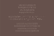 Felix - Condensed Display Serif Font, a Serif Font by Studio Aurora (Thumbnail 6 of 10)
