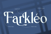 Haskovilla -  Serif Typeface Font, a Serif Font by Rishsketch (Thumbnail 7 of 14)