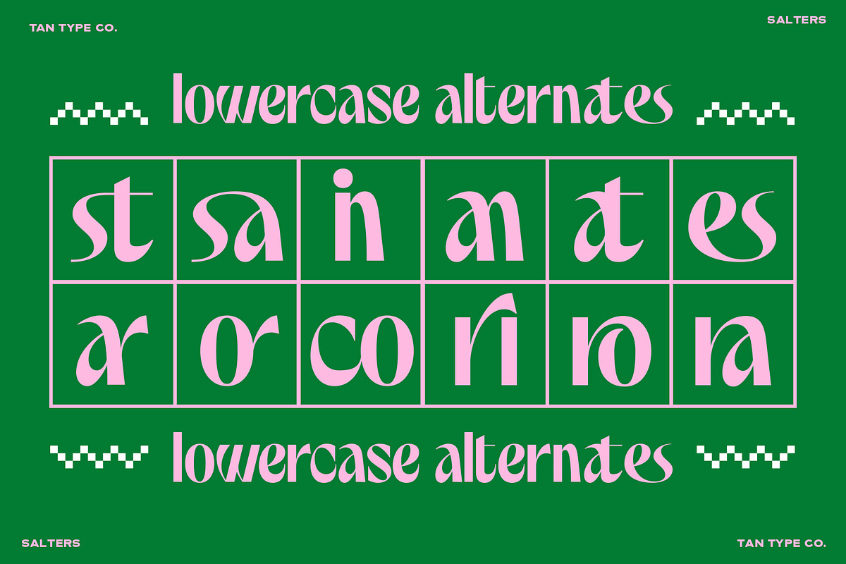 TAN - SALTERS, a Font by TanType (Photo 13 of 14)