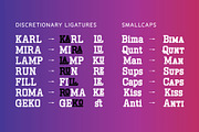 Mahardika | Variable Font Family, a Serif Font by Lemon Studio Type (Thumbnail 3 of 6)