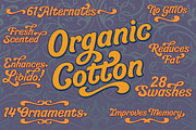 Organic Cotton, a friendly font, a Font by Dan Cotton (Thumbnail 2 of 7)