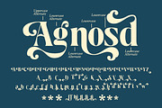 Ralite - Modern Serif Display Font, a Serif Font by Afkari Studio (Thumbnail 11 of 12)