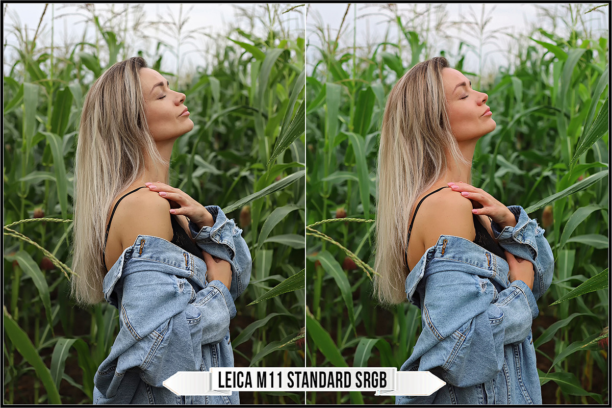 Leica Film Styles, a Plug-in Add-On by Raztrend (Photo 3 of 30)