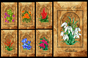 Enchanted flowers tarot deck, a Decorative Illustration by Samiramay (Thumbnail 5 of 12)